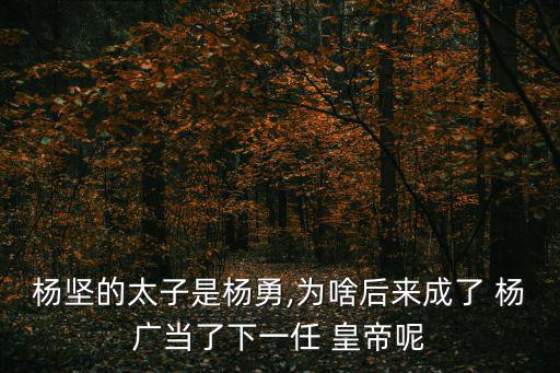 楊廣死后誰當(dāng)皇帝,第二位皇帝楊廣的一生