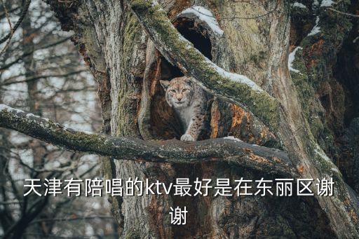 天津有陪唱的ktv最好是在東麗區謝謝