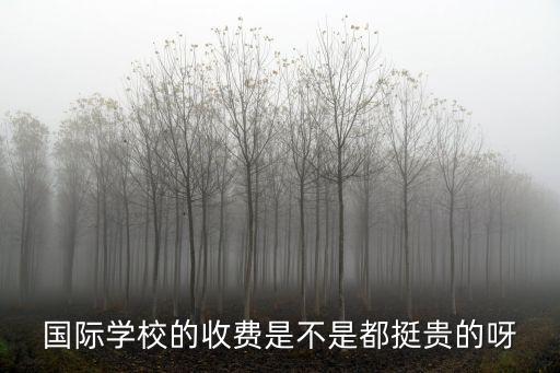 國際學校的收費是不是都挺貴的呀