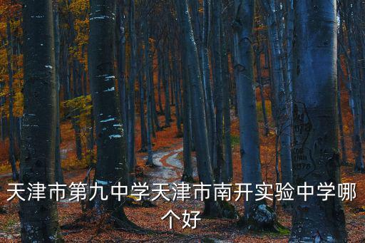 天津市第九中學天津市南開實驗中學哪個好