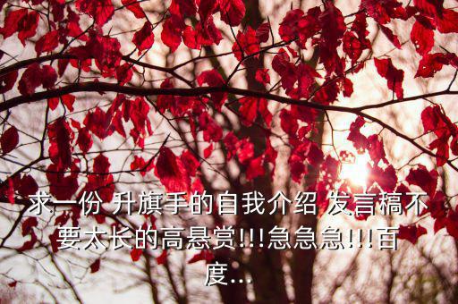 升旗手發言稿,我是升旗選手