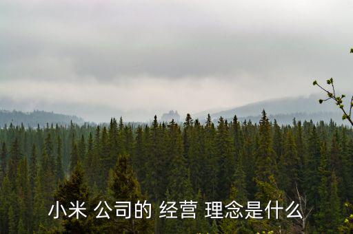 小米 公司的 經營 理念是什么