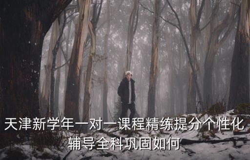 天津新學年一對一課程精練提分個性化輔導全科鞏固如何