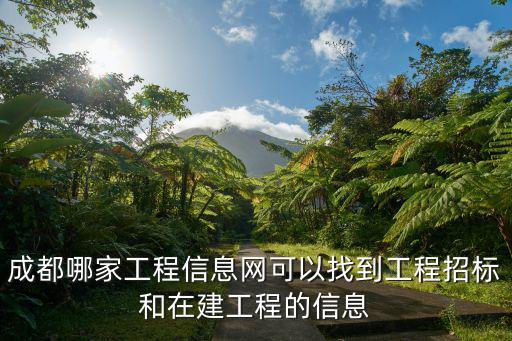 成都哪家工程信息網可以找到工程招標和在建工程的信息