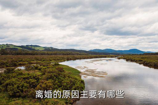 離婚原因,若關(guān)系破裂夫妻一方提出離婚應(yīng)準(zhǔn)予離婚