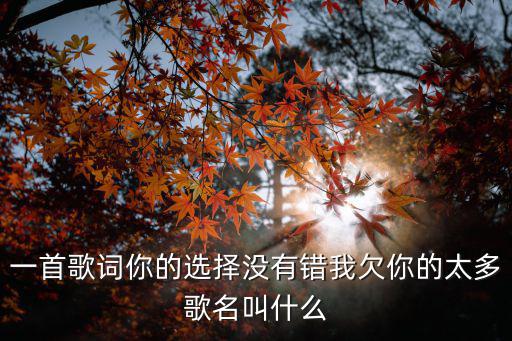 一首歌詞你的選擇沒有錯我欠你的太多歌名叫什么