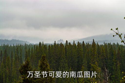 萬圣節可愛的南瓜圖片