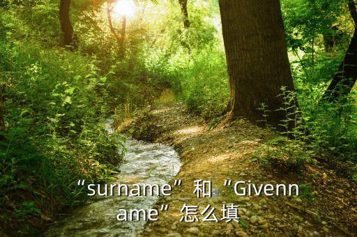 “surname”和“Givenname”怎么填