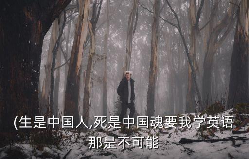 (生是中國人,死是中國魂要我學英語那是不可能