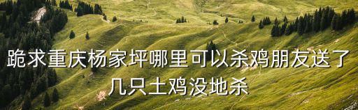 重慶市江北區哪有殺雞的地方，跪求重慶楊家坪哪里可以殺雞朋友送了幾只土雞沒地殺