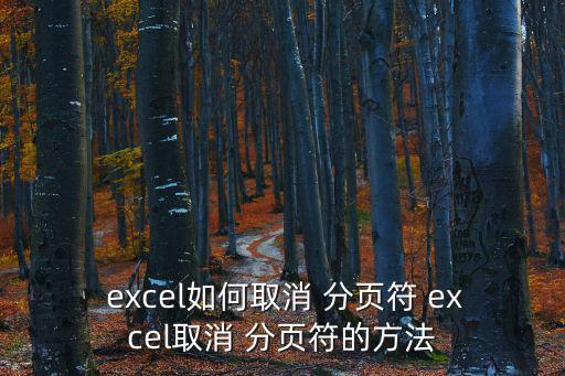 excel分頁(yè)符,如何在excel2007中插入分頁(yè)符號(hào)?