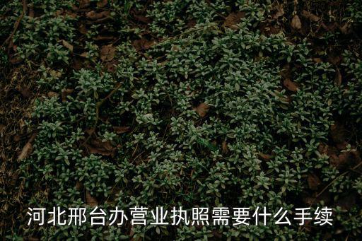 河北邢臺辦營業執照需要什么手續