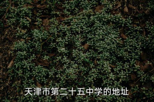 天津市第二十五中學的地址