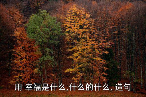 用 幸福是什么,什么的什么, 造句