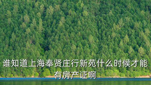 誰知道上海奉賢莊行新苑什么時(shí)候才能有房產(chǎn)證啊