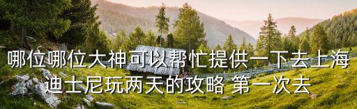 上海迪士尼游玩路線推薦，哪位哪位大神可以幫忙提供一下去上海迪士尼玩兩天的攻略 第一次去
