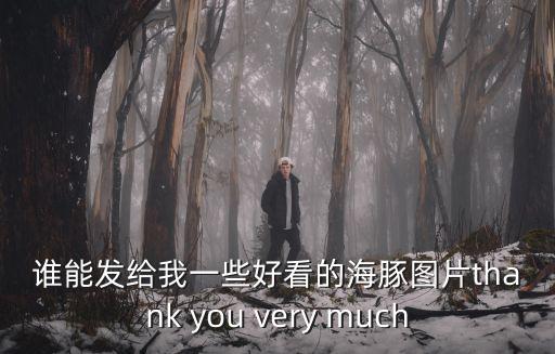 誰能發給我一些好看的海豚圖片thank you very much