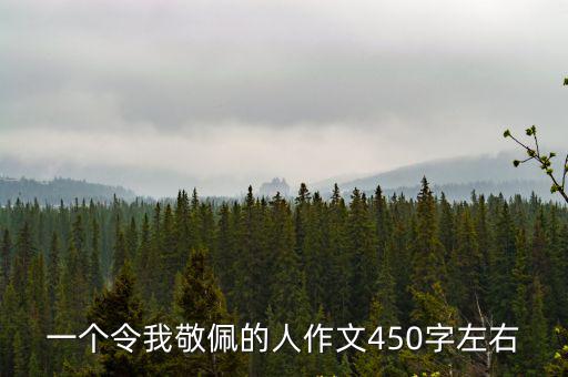 一個令我敬佩的人作文450字左右