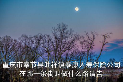 重慶市奉節縣吐祥鎮泰康人壽保險公司在哪一條街叫做什么路請告
