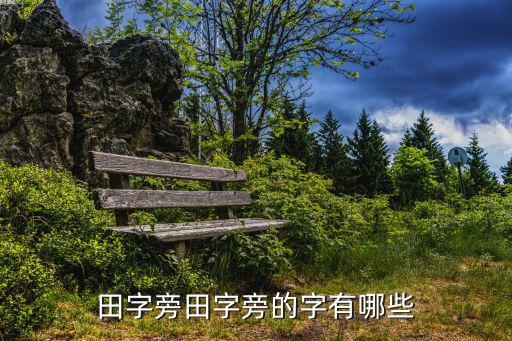 田字旁田字旁的字有哪些