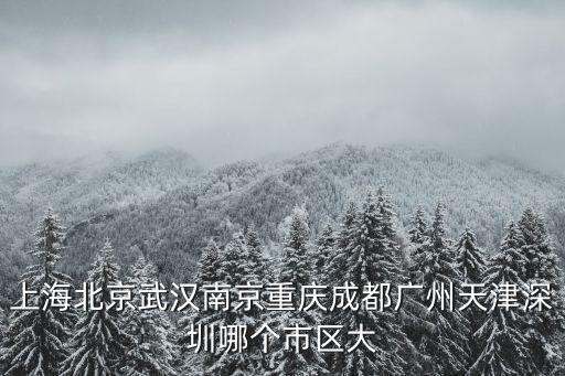上海北京武漢南京重慶成都廣州天津深圳哪個市區大