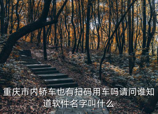 重慶市內轎車也有掃碼用車嗎請問誰知道軟件名字叫什么