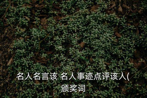  名人名言該 名人事跡點評該人( 頒獎詞