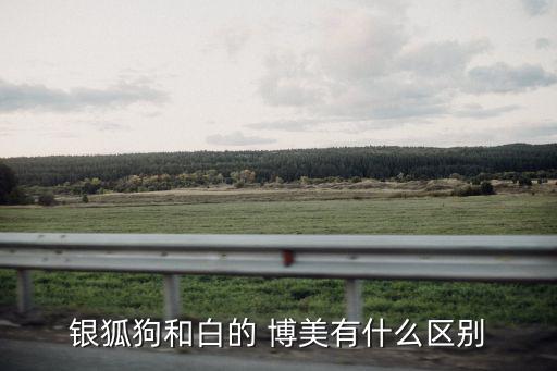 白色博美,白色博美狗:純種白色沒有其他顏色斑點