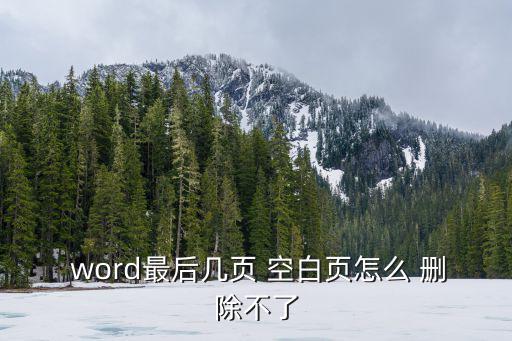  word最后幾頁 空白頁怎么 刪除不了