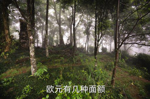 歐元最大面值,那不勒斯印鈔公司推出新硬幣面值無1000歐元