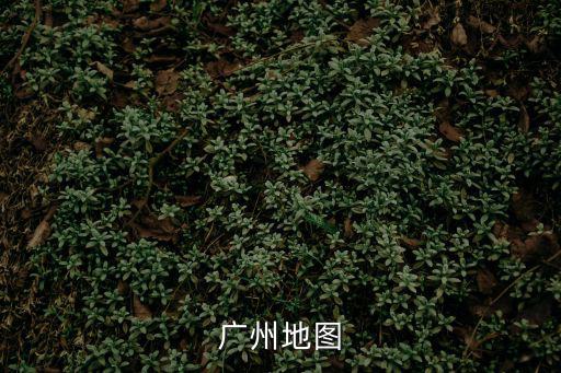 廣州地圖