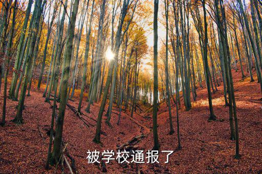 重慶市落后技術通告八號，G4在什么地區最受歡迎