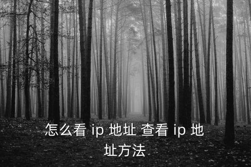 怎么看 ip 地址 查看 ip 地址方法