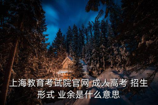 上海教育考試院官網 成人高考 招生形式 業余是什么意思