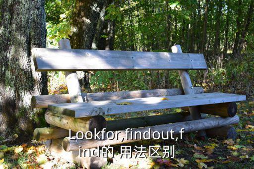 Lookfor,findout,find的 用法區別