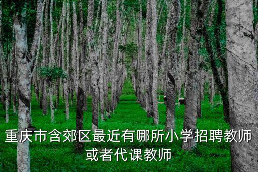 重慶市含郊區最近有哪所小學招聘教師或者代課教師