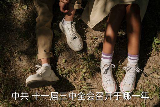 十一屆三中全會時間,中共十一屆三中全會于1980年舉行