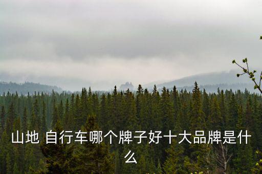 山地 自行車(chē)哪個(gè)牌子好十大品牌是什么