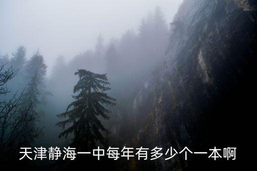 天津靜海一中每年有多少個一本啊