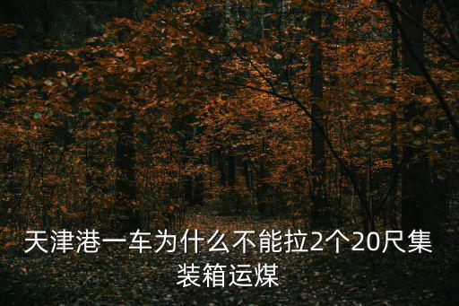 天津港一車為什么不能拉2個20尺集裝箱運煤