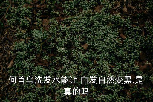 何首烏洗發水能讓 白發自然變黑,是真的嗎