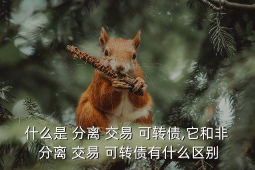 什么是 分離 交易 可轉債,它和非 分離 交易 可轉債有什么區別