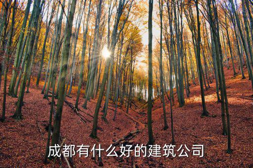 成都有什么好的建筑公司