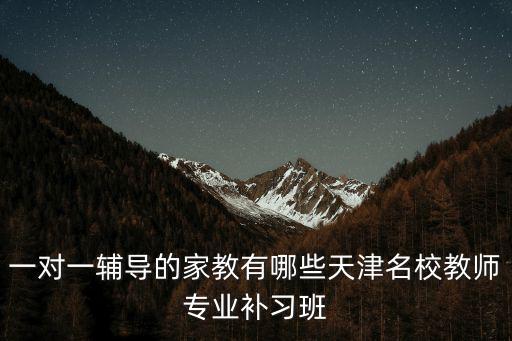 一對一輔導的家教有哪些天津名校教師專業補習班