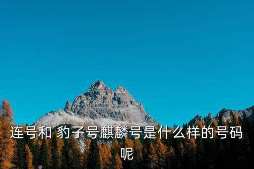 連號和 豹子號麒麟號是什么樣的號碼呢