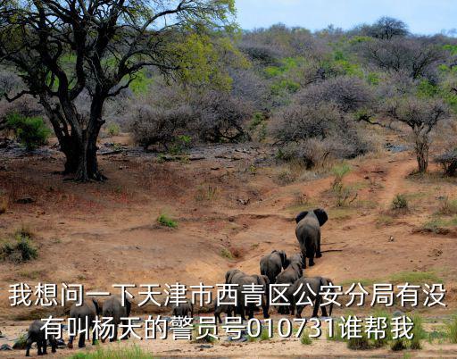 我想問(wèn)一下天津市西青區(qū)公安分局有沒(méi)有叫楊天的警員號(hào)010731誰(shuí)幫我
