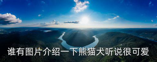 熊貓犬，我今天才知道有種叫做熊貓狗的狗哦很好玩的一種狗很可愛哦