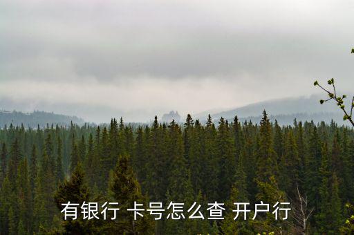 有銀行 卡號怎么查 開戶行
