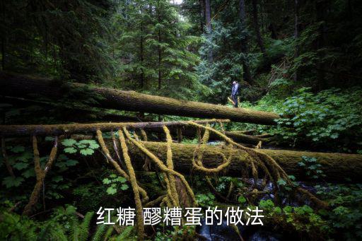 醪糟蛋,紅糖醪糟雞蛋湯做法步驟1:先煮雞蛋再加醪糟