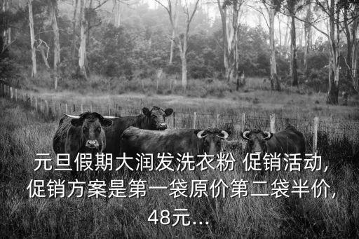  元旦假期大潤發(fā)洗衣粉 促銷活動, 促銷方案是第一袋原價第二袋半價,48元...